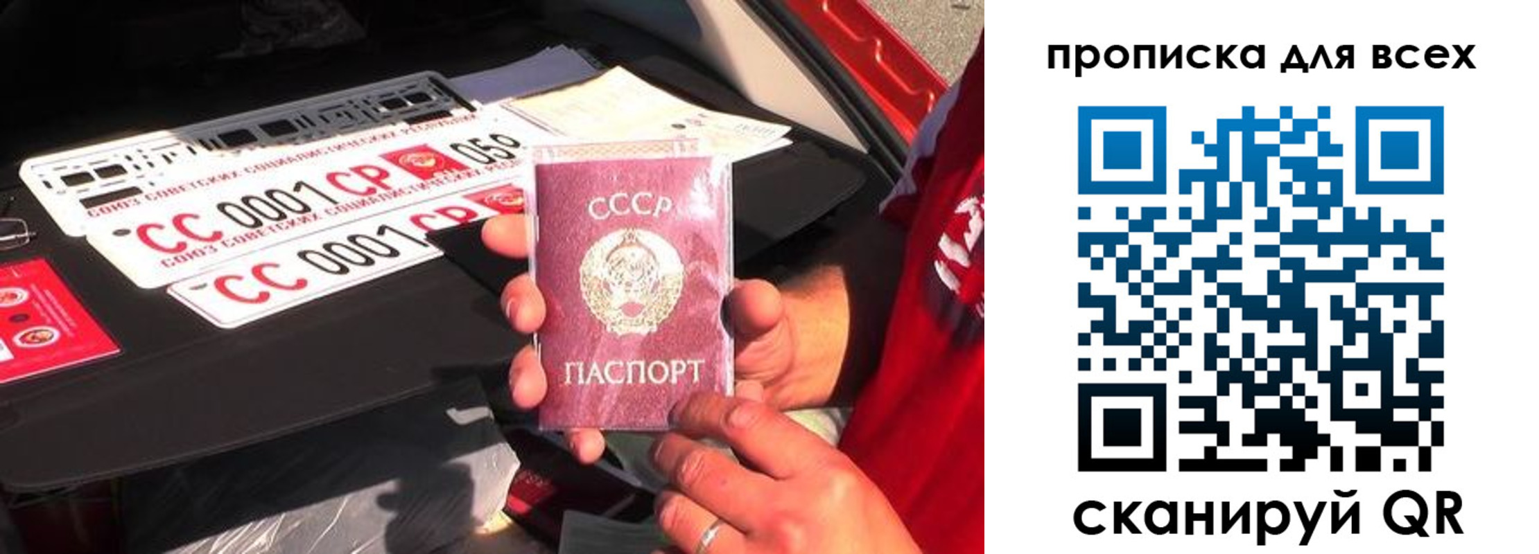 регистрация для школы в Снежногорске